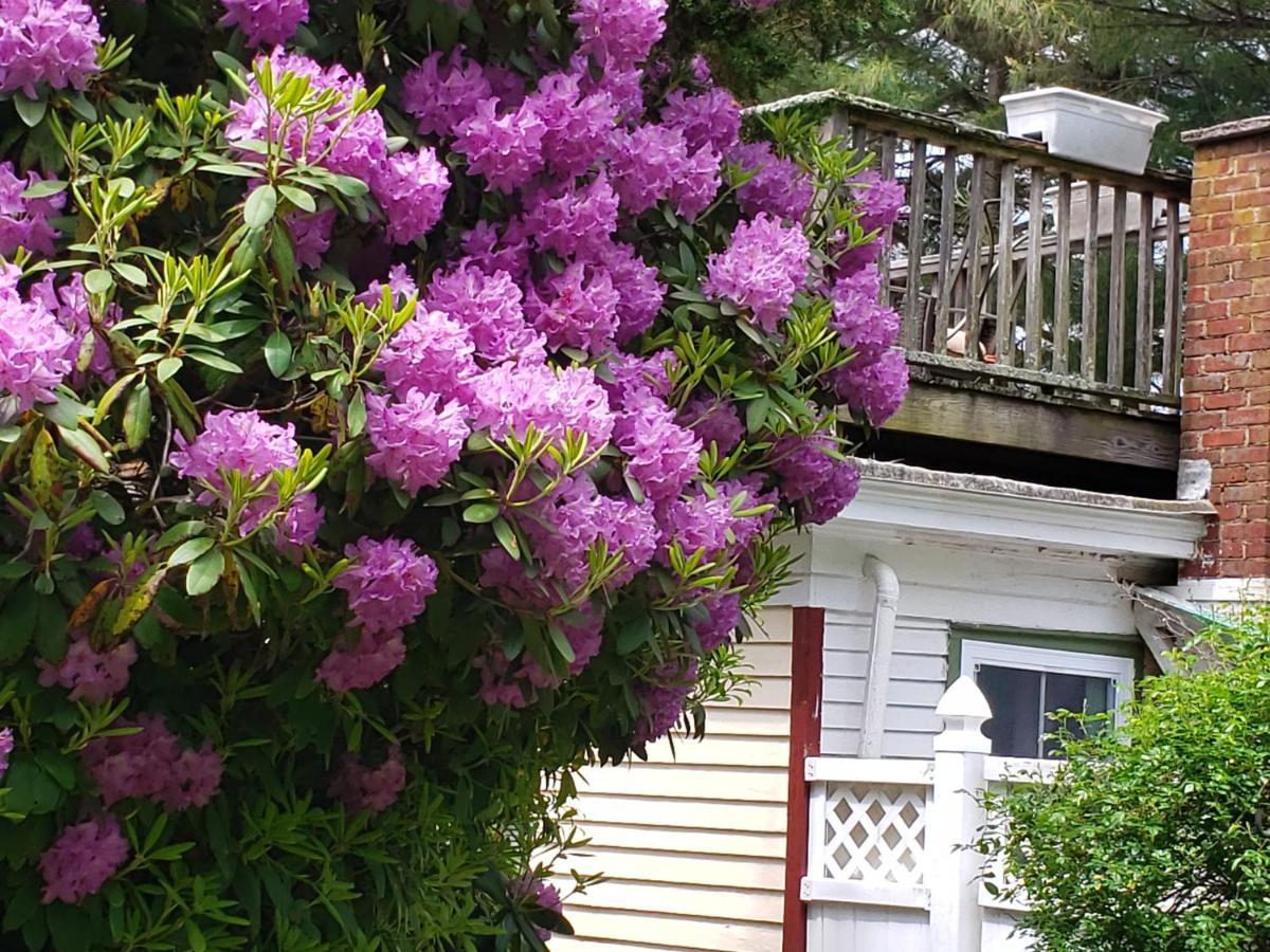Arbor View House Bed And Breakfast East Marion Εξωτερικό φωτογραφία