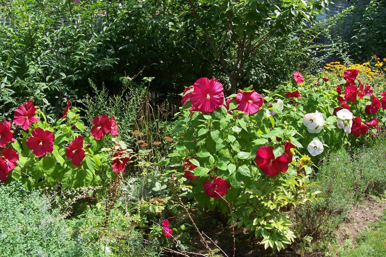 Arbor View House Bed And Breakfast East Marion Εξωτερικό φωτογραφία