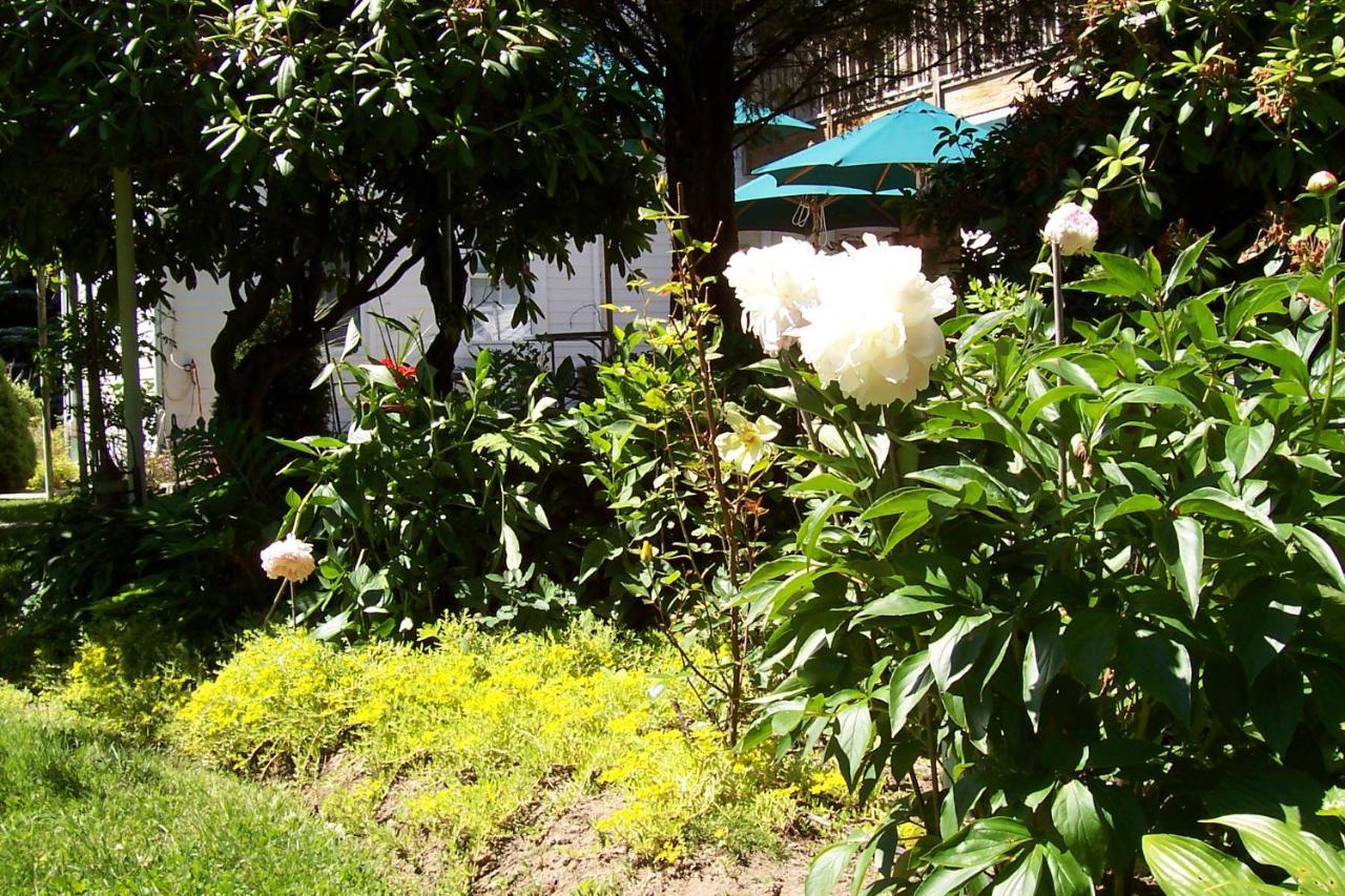 Arbor View House Bed And Breakfast East Marion Εξωτερικό φωτογραφία