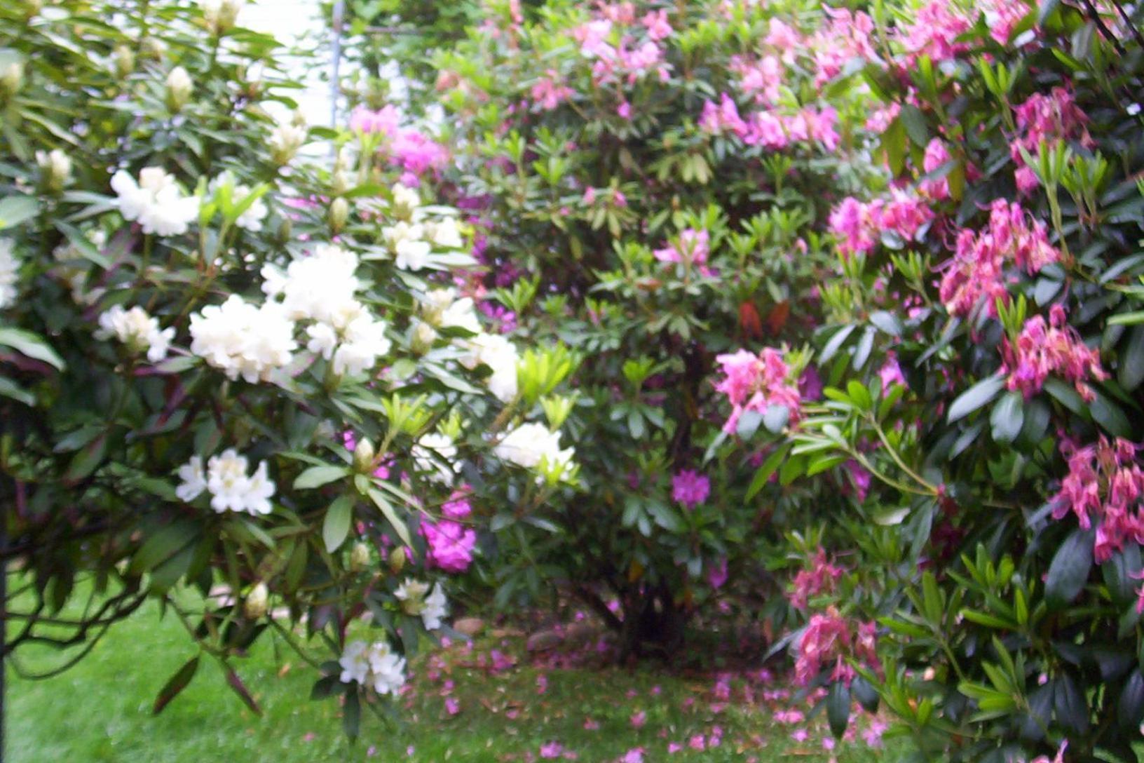 Arbor View House Bed And Breakfast East Marion Εξωτερικό φωτογραφία
