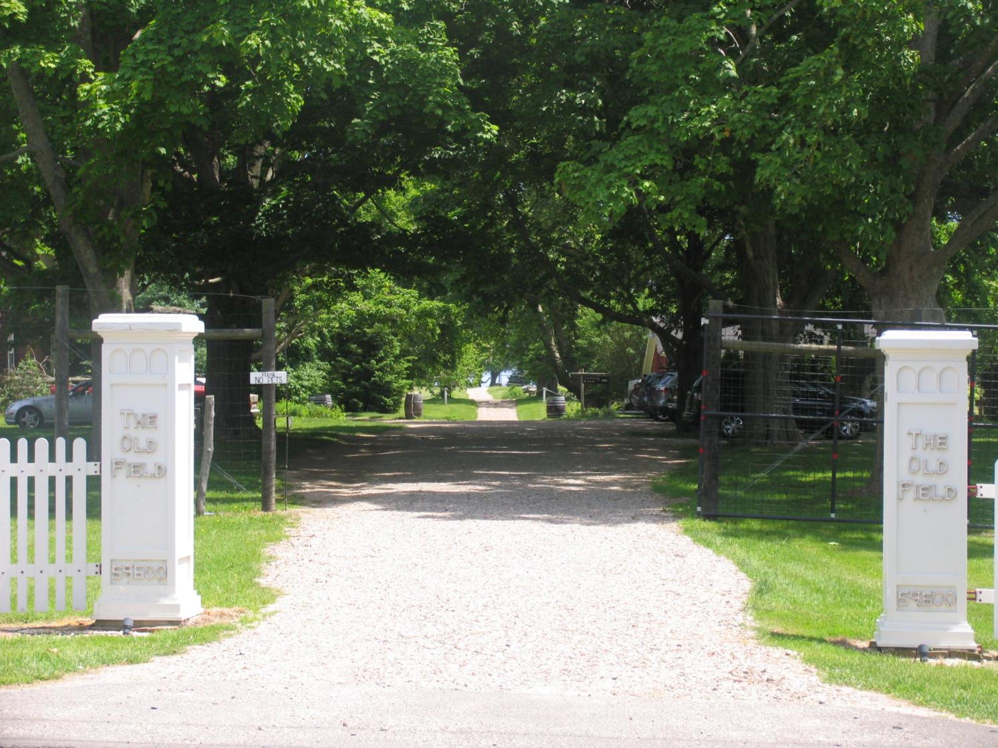 Arbor View House Bed And Breakfast East Marion Εξωτερικό φωτογραφία