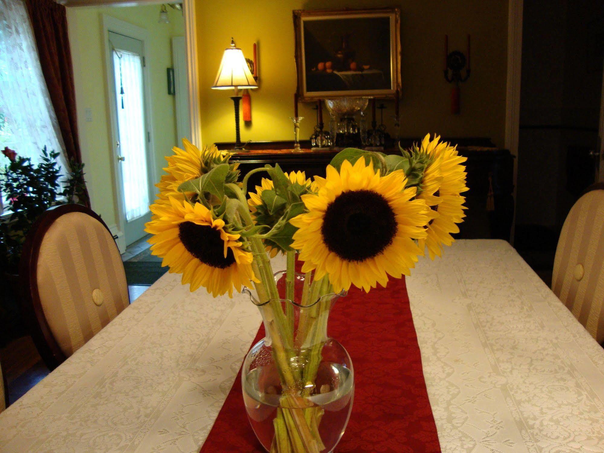 Arbor View House Bed And Breakfast East Marion Εξωτερικό φωτογραφία